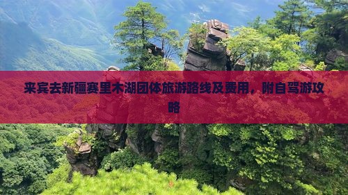 来宾去新疆赛里木湖团体旅游路线及费用，附自驾游攻略