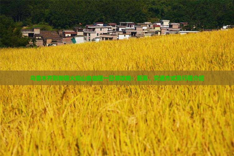乌鲁木齐到新疆火焰山自由团一日游攻略：距离、交通方式及行程介绍