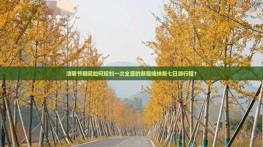 清明节期间如何规划一次全面的新疆喀纳斯七日游行程？