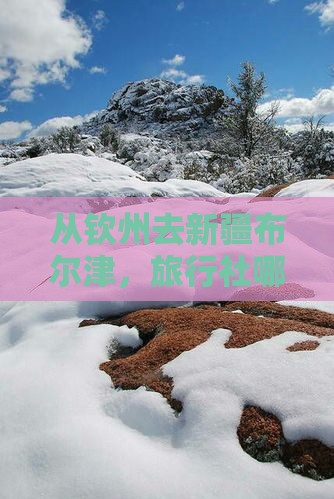 从钦州去新疆布尔津，旅行社哪家好？