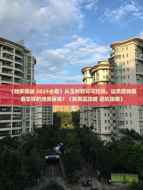 玉树到新疆可可托海二日游