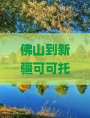 佛山到新疆可可托海景点
