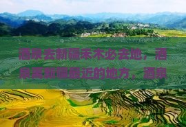 酒泉去新疆禾木必去地