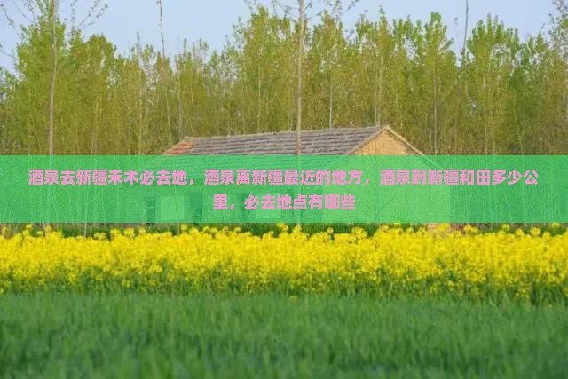 酒泉去新疆禾木必去地