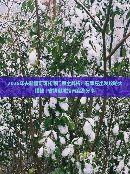 石家庄去新疆可可托海门票