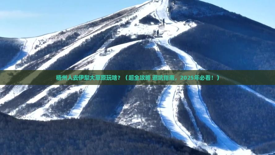 梧州去新疆伊犁大草原攻略