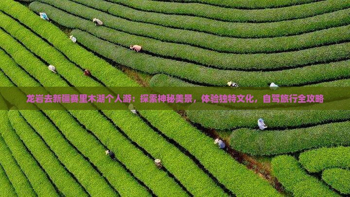 龙岩去新疆赛里木湖个人游