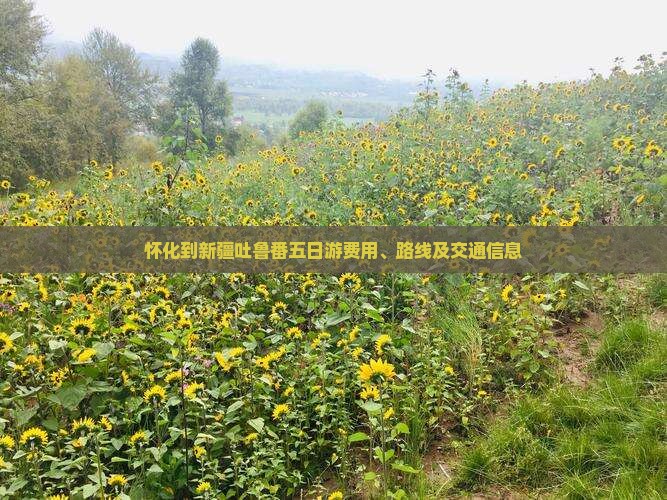 怀化到新疆吐鲁番五日游
