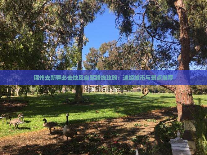 锦州去新疆必去地