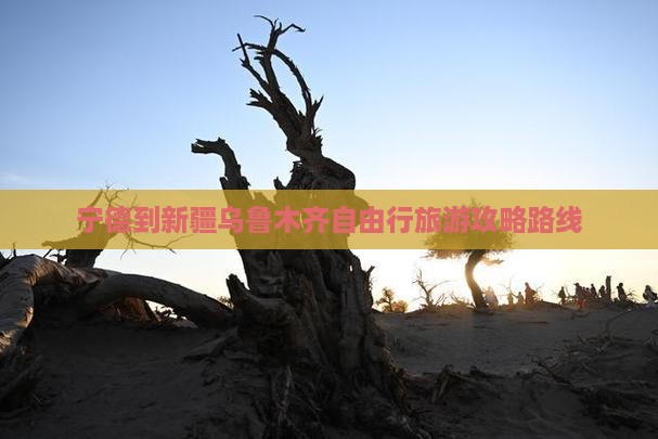 宁德到新疆乌鲁木齐自由行