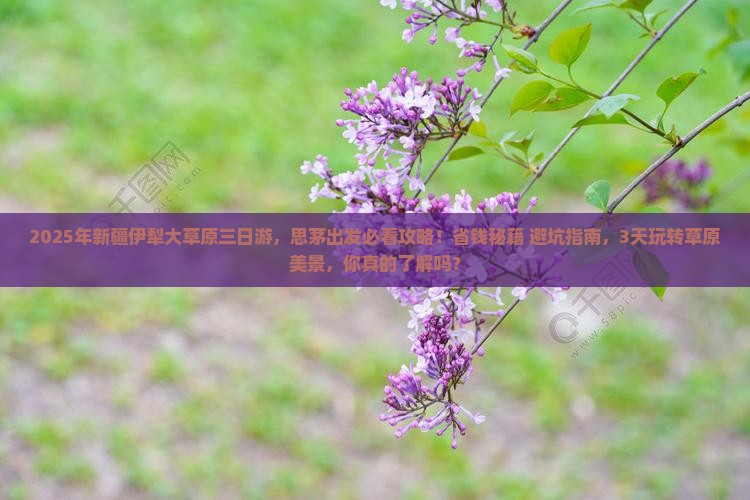 思茅去新疆伊犁大草原三日游