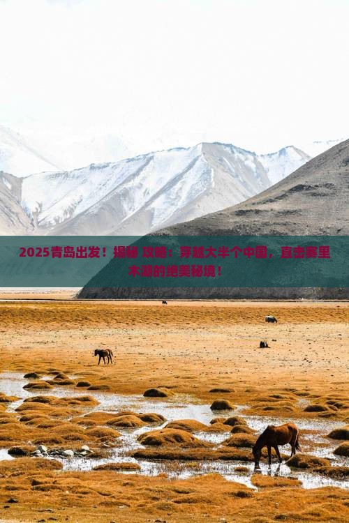 青岛到新疆赛里木湖旅游