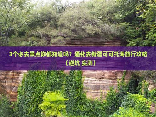 通化去新疆可可托海必去地