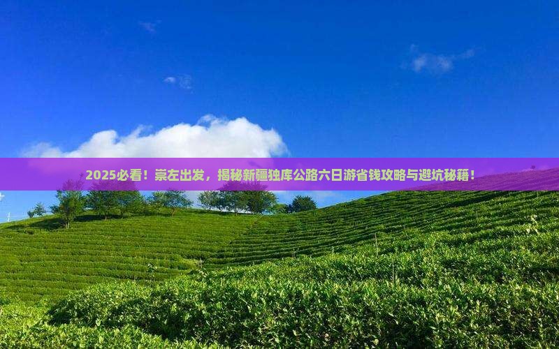 崇左到新疆独库公路六日游