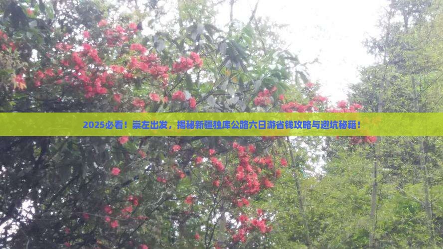 崇左到新疆独库公路六日游