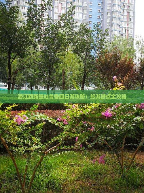 潜江到新疆吐鲁番四日游