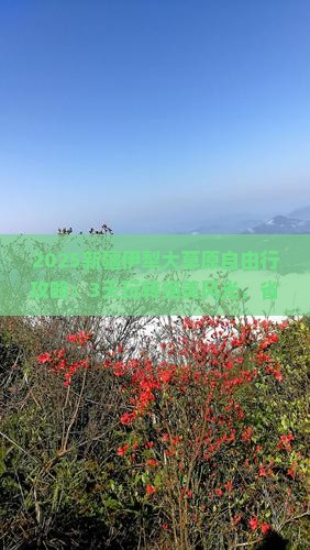 通辽到新疆伊犁大草原自由行