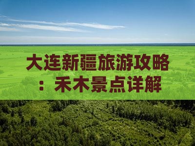 大连去新疆禾木景点