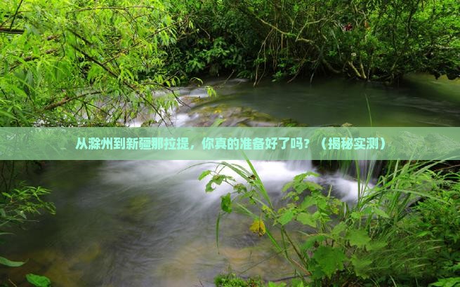 滁州到新疆那拉提攻略