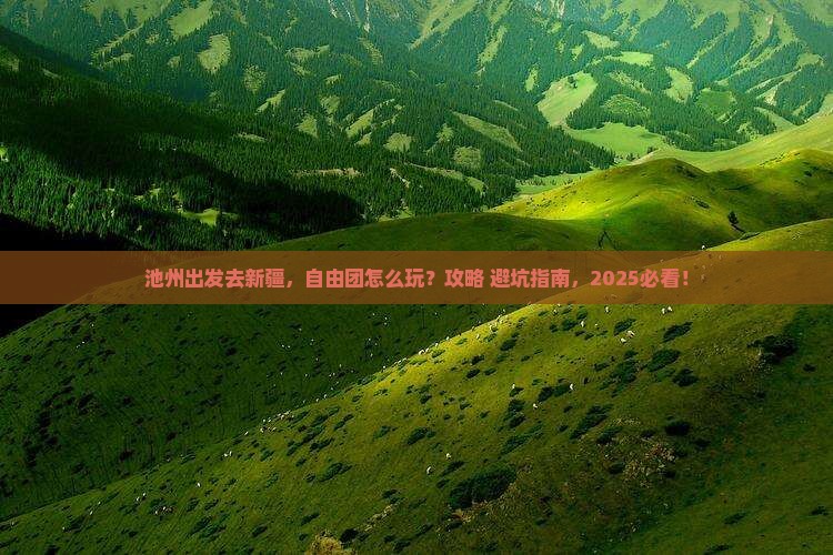 池州到新疆自由团