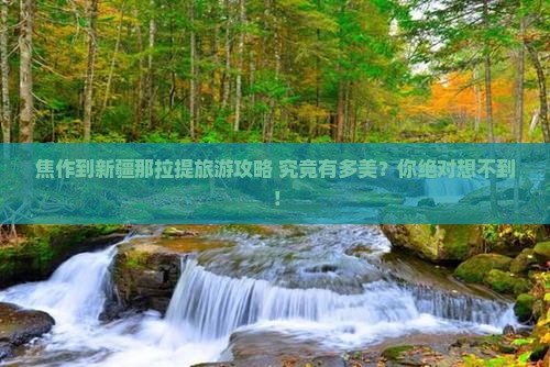 焦作到新疆那拉提旅游