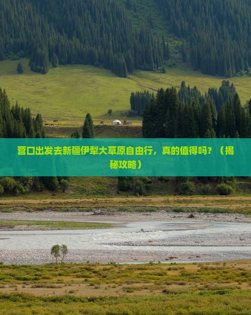 营口去新疆伊犁大草原自由行