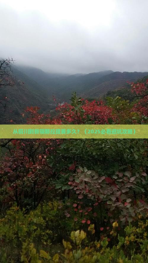 铜川到新疆那拉提攻略