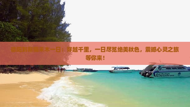 德阳到新疆禾木一日