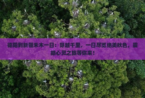 德阳到新疆禾木一日