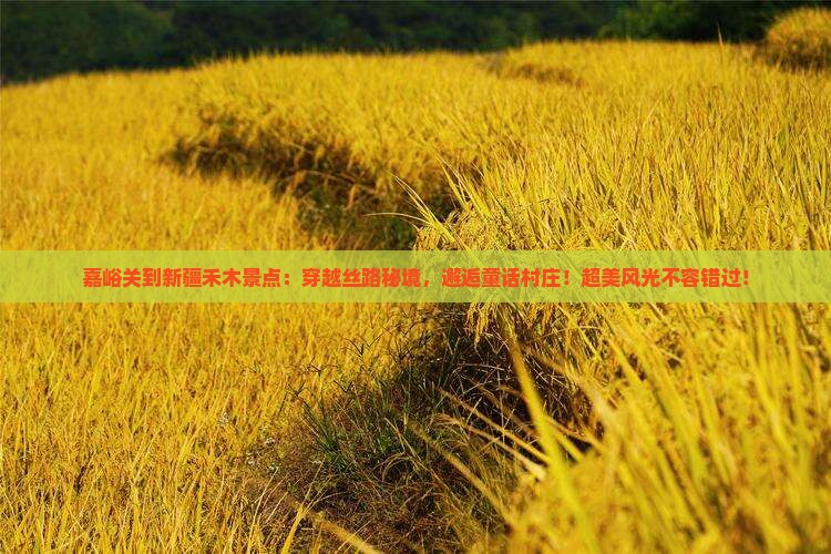 嘉峪关到新疆禾木景点