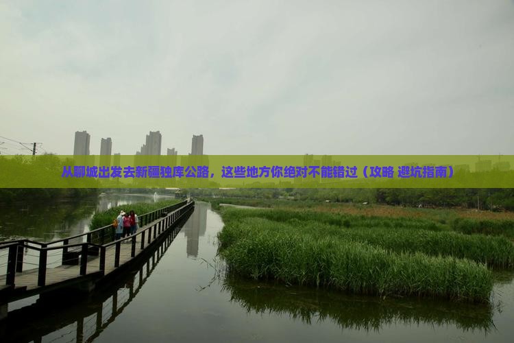 聊城到新疆独库公路必去地