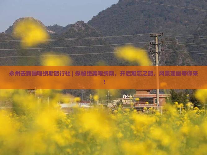永州去新疆喀纳斯旅行社