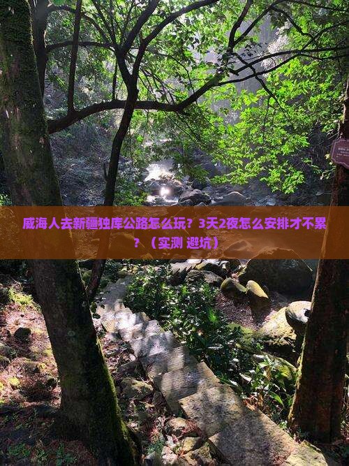 威海去新疆独库公路个人游