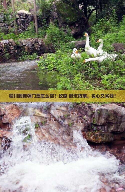 铜川到新疆门票