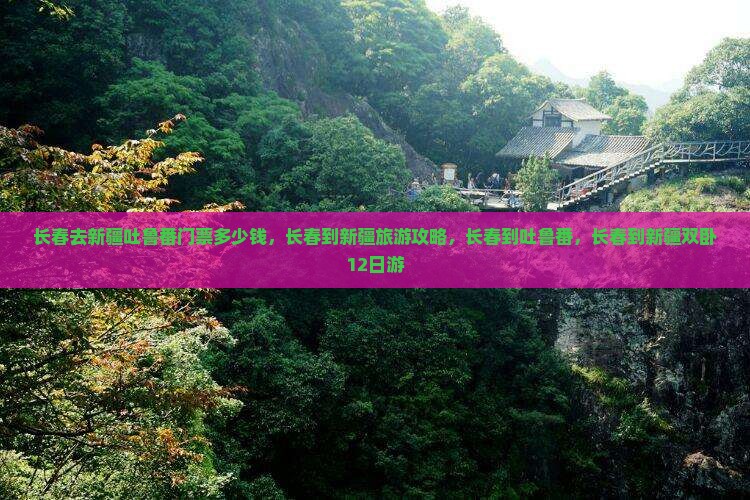 长春去新疆吐鲁番门票
