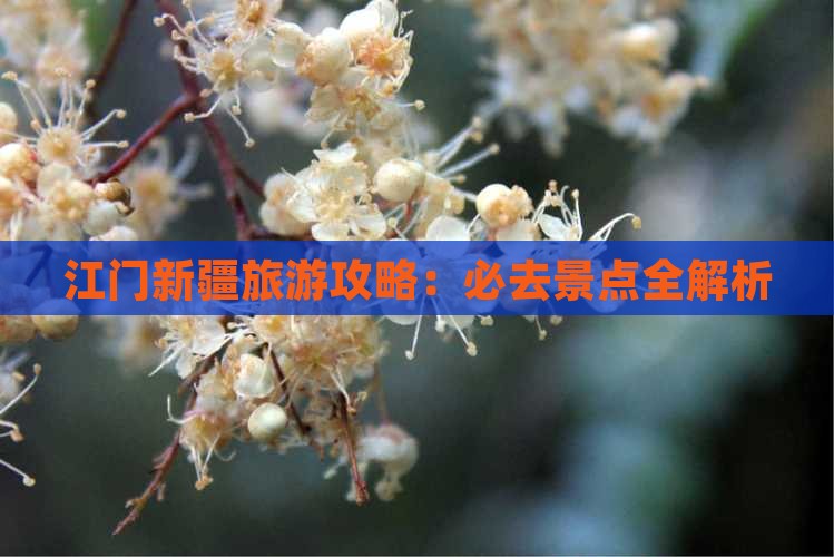 江门到新疆乌鲁木齐必去地
