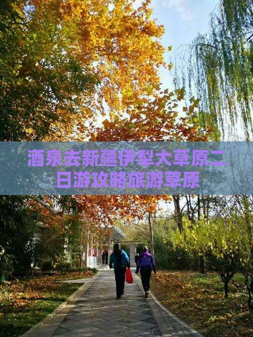 酒泉去新疆伊犁大草原二日游