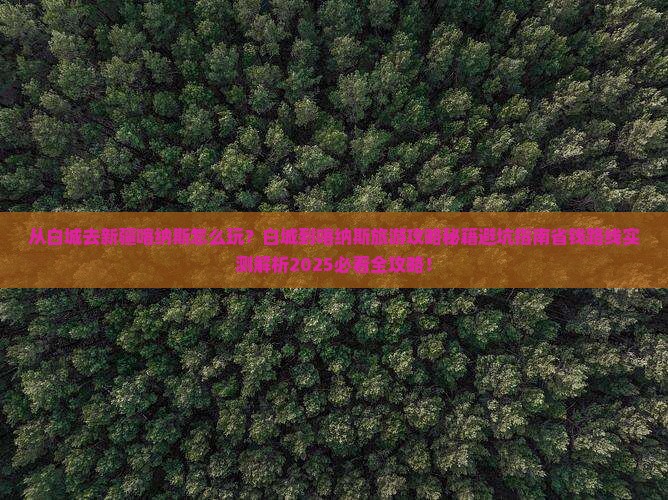 白城去新疆喀纳斯哪里玩