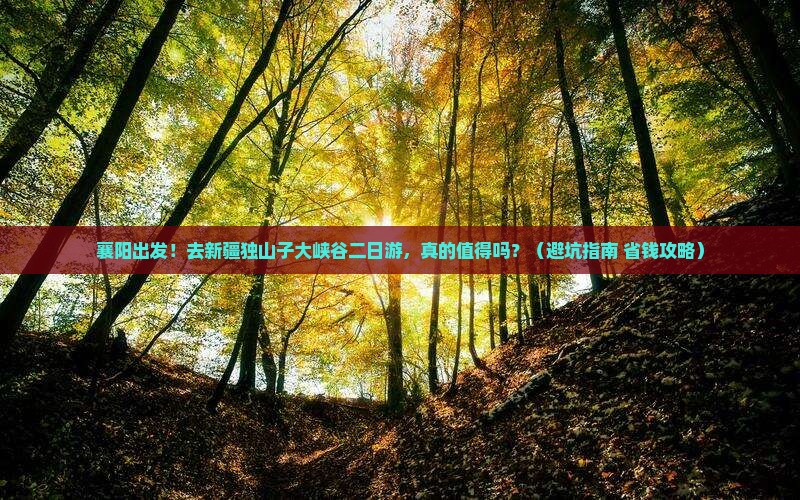 襄阳去新疆独山子大峡谷二日游