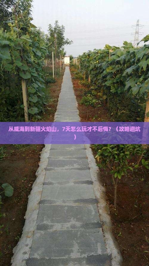 威海到新疆火焰山自由行
