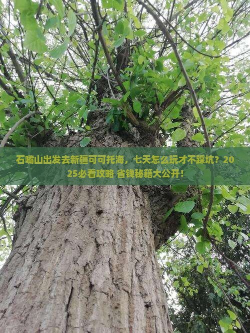 石嘴山去新疆可可托海七日游