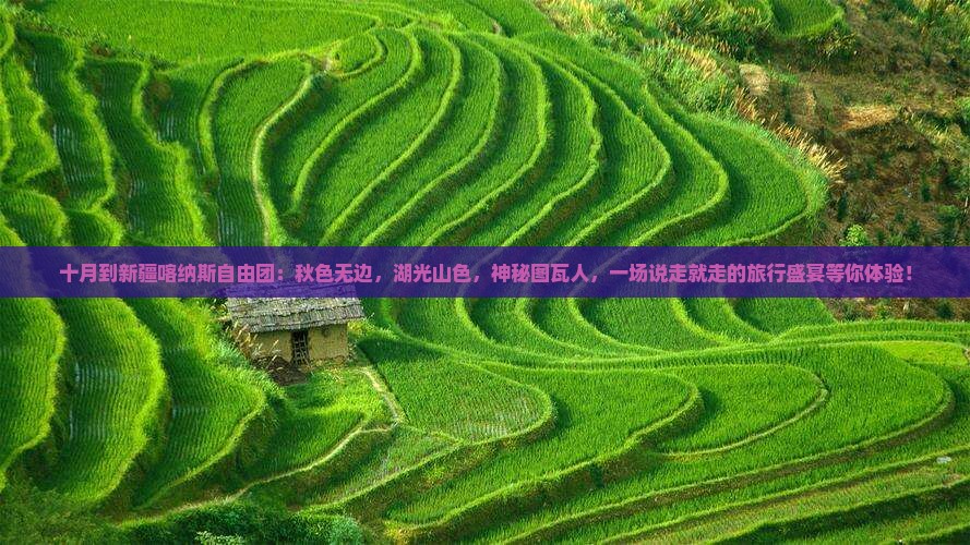 十月到新疆喀纳斯自由团