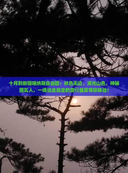 十月到新疆喀纳斯自由团