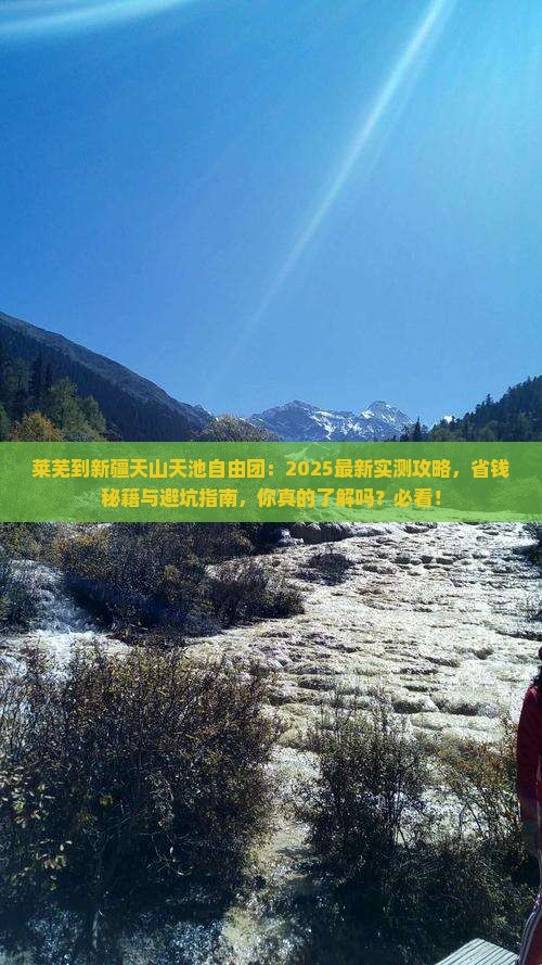 莱芜到新疆天山天池自由团