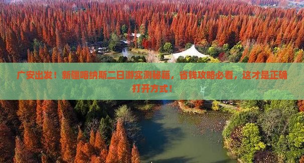 广安到新疆喀纳斯二日游