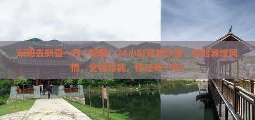 阜阳去新疆一日