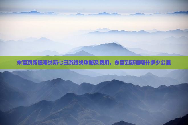 东营到新疆喀纳斯七日游