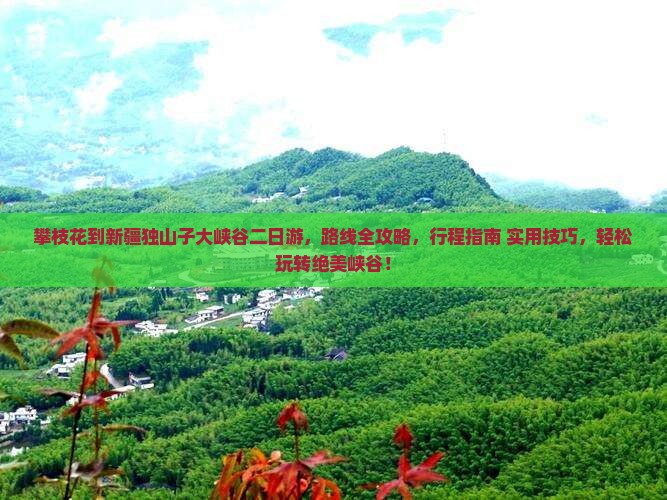 攀枝花到新疆独山子大峡谷二日游