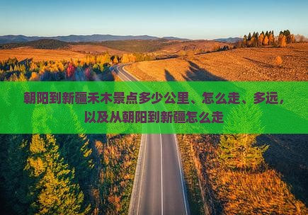 朝阳到新疆禾木景点