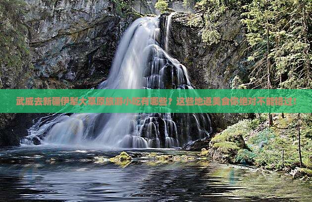 武威去新疆伊犁大草原旅游小吃